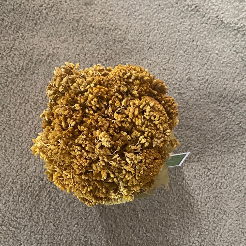 Yellow Yarrow Flower Bundle - Picture 2 of 8